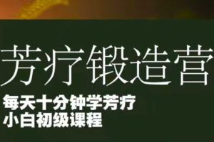 芳疗锻造营：每天十分钟学芳疗 小白初级课程(87节)