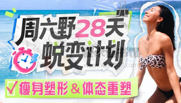 周六野28天蜕变计划(瑜伽）