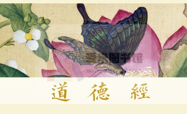 圆成生命道德经